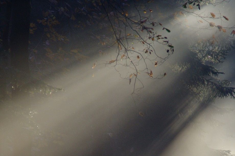 In our ordinary sensing, perceiving, and thinking, everything around us exists as 