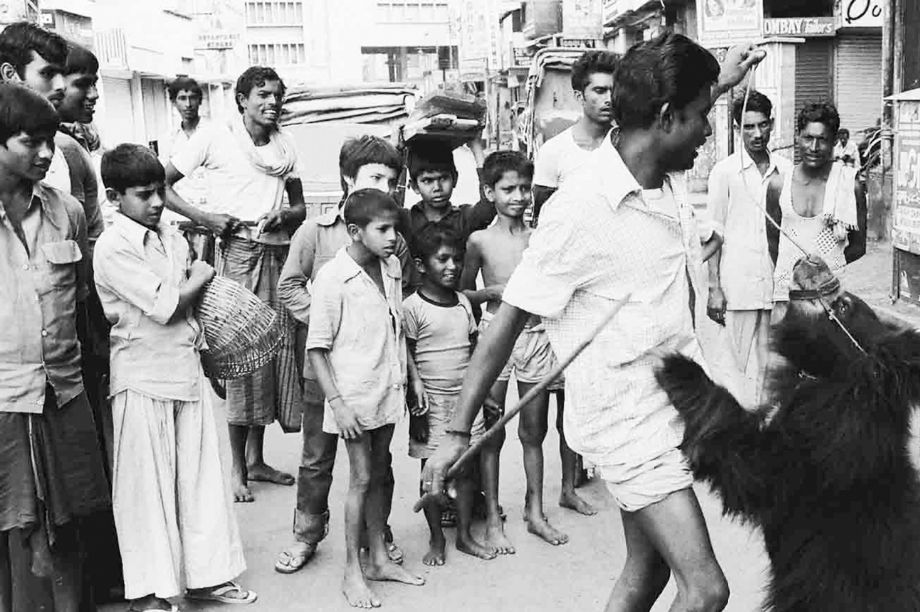 Man with captured dancing bear, Kolkata 1985. Photo by David Beatty