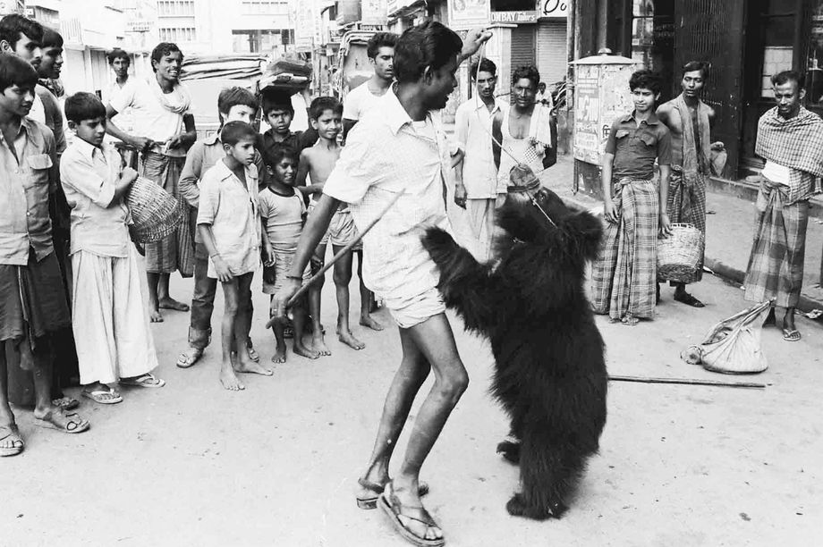 Man with captured dancing bear, Kolkata 1985. Photo by David Beatty